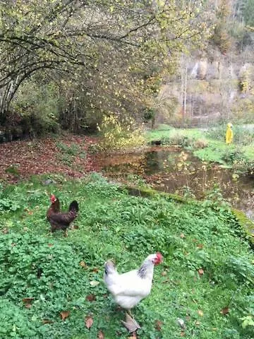 Loft Chupferhammer & Loft Factory *